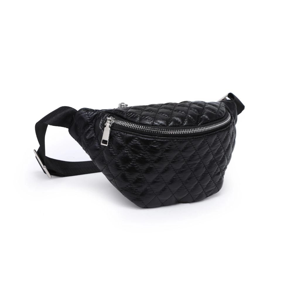 Arielle Black Belt Bag